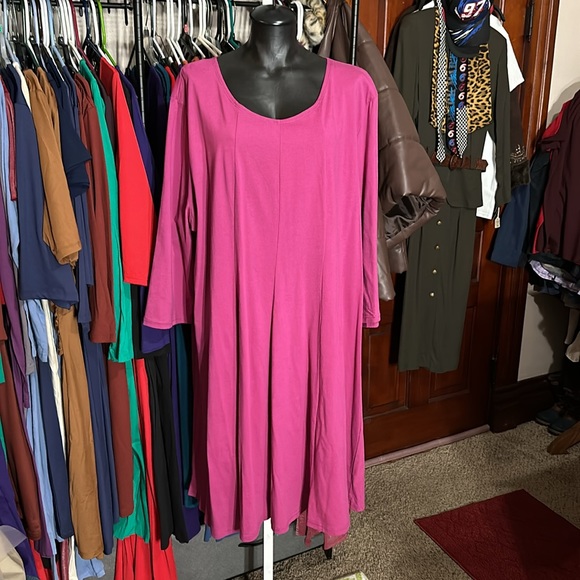 The Paragon Dresses & Skirts - Dress 3X Cotton Panel Skater Berry The Paragon New